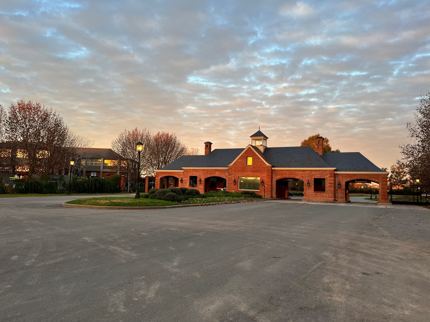 image 19