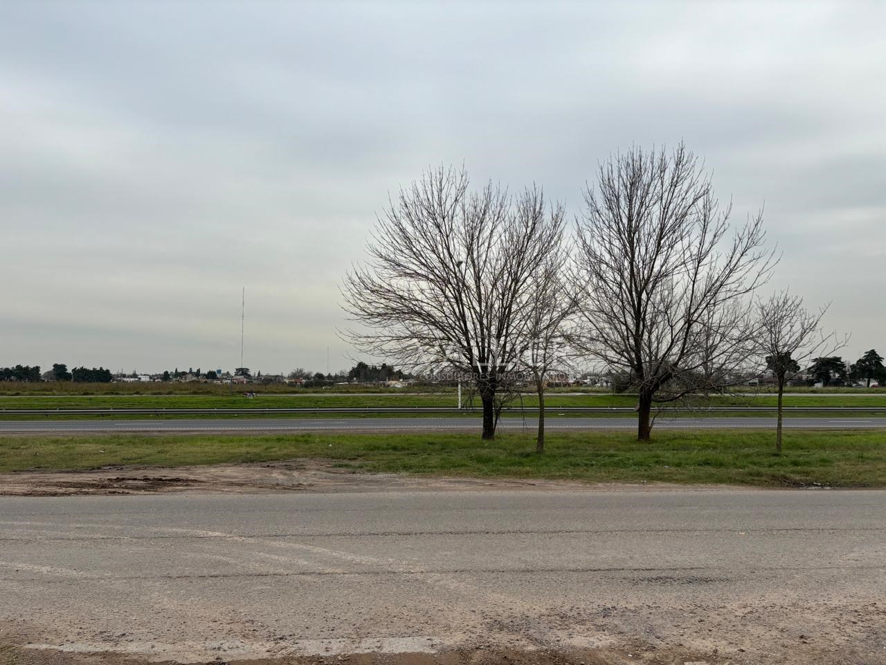 image 13