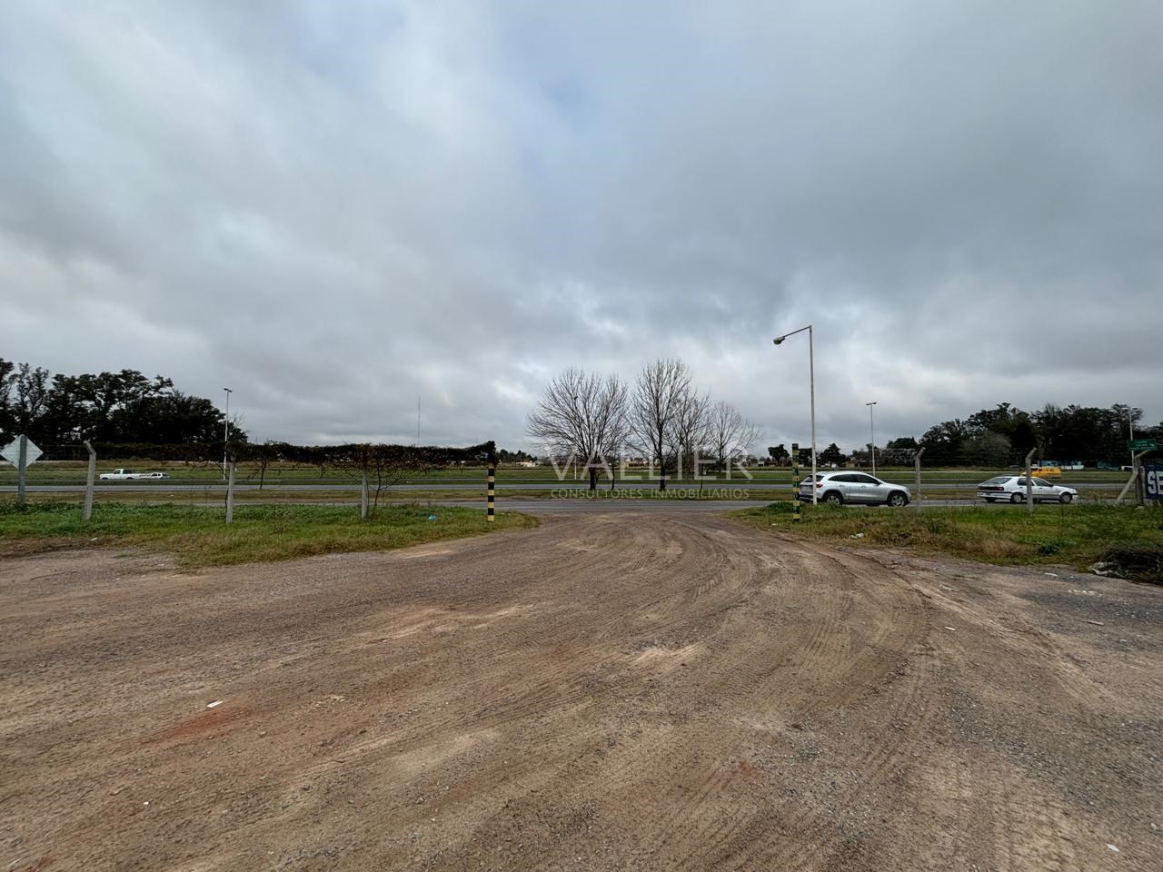 image 14