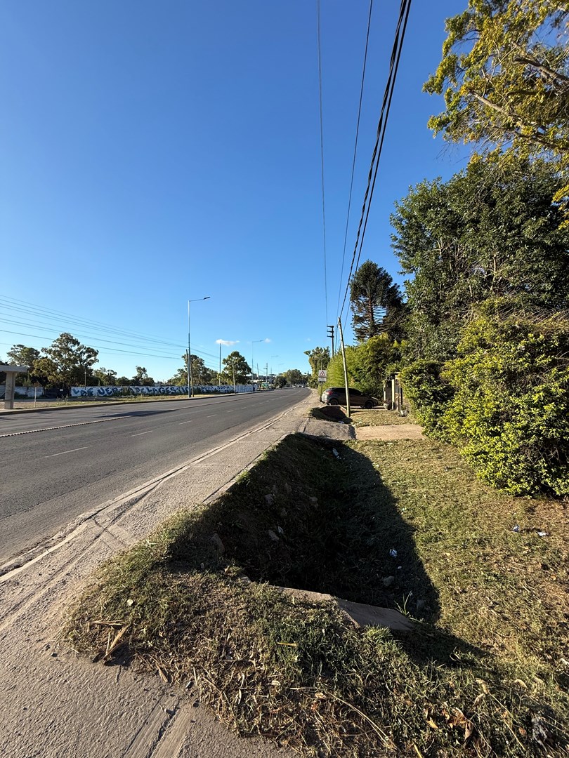 image 14