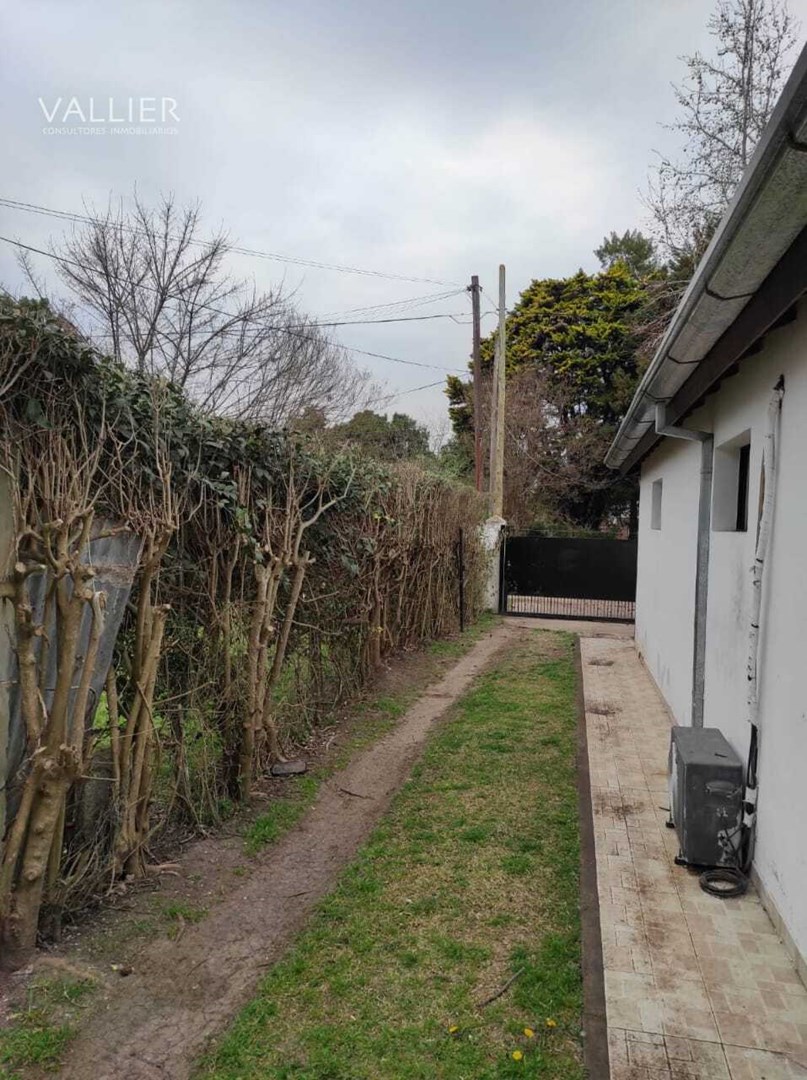 image 25