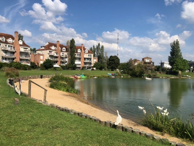 image 14
