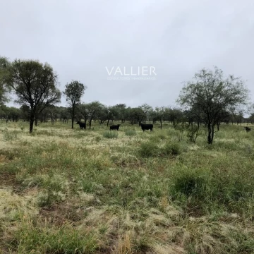 Terreno Venta en 8000 Has chepes  Calle