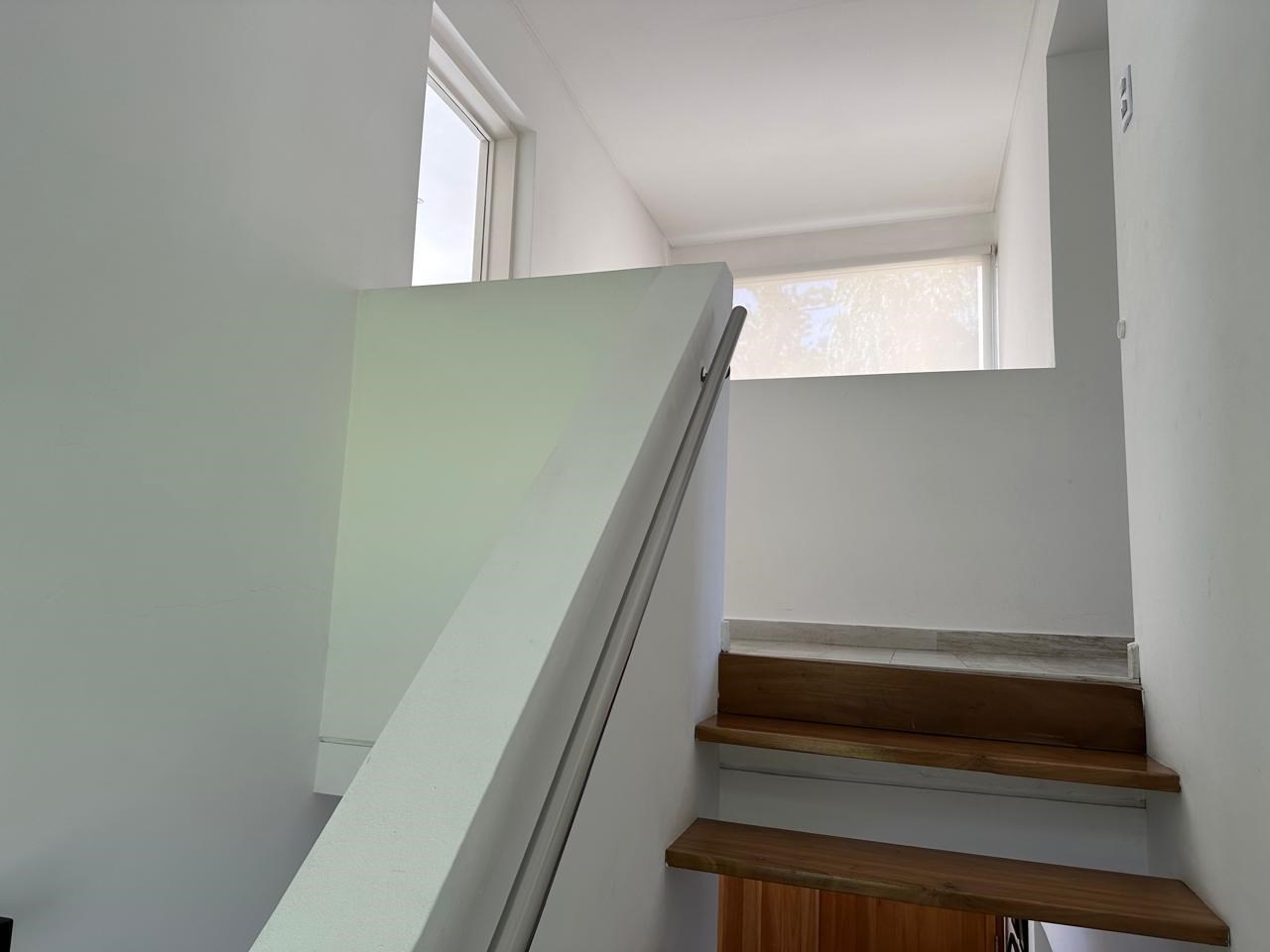 image 23