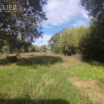 Terreno Venta en Carlos Calvo 2000