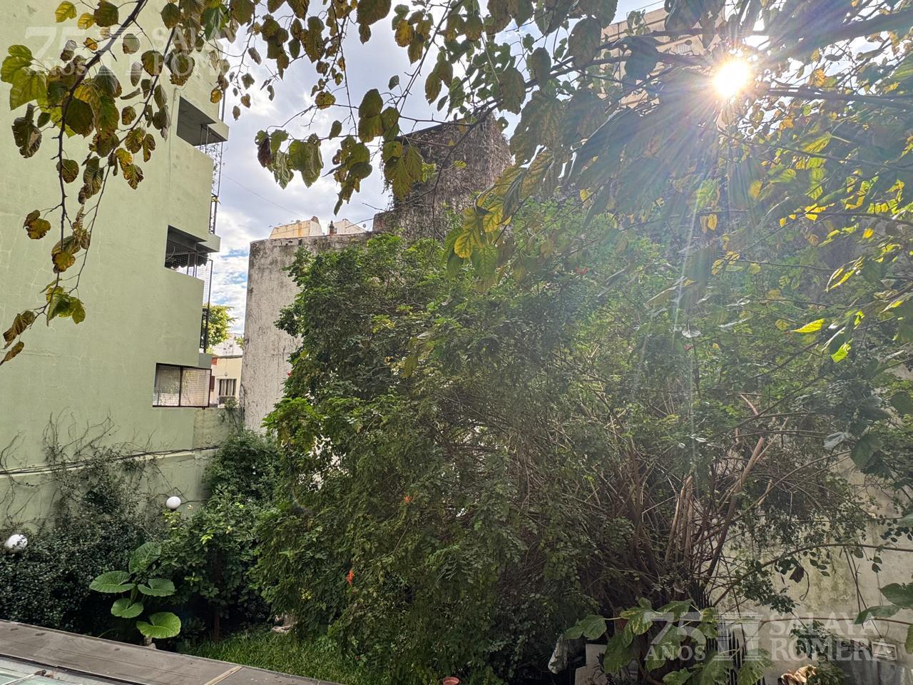 image 31
