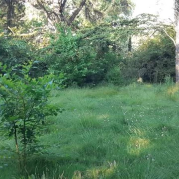 De la Zamba