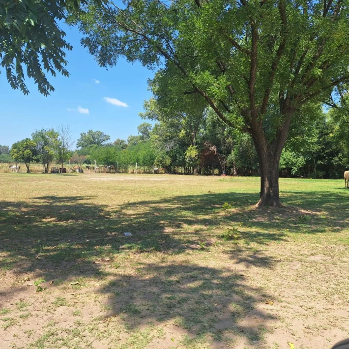 Casa en venta + campo en Zelaya