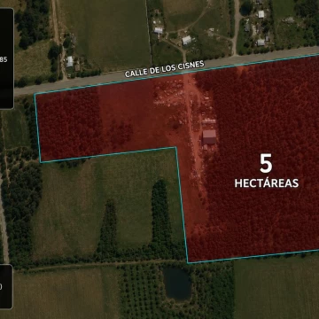 Venta Campo 5 Hectáreas Con Galpones Y Forestación, alta productividad en Salinas