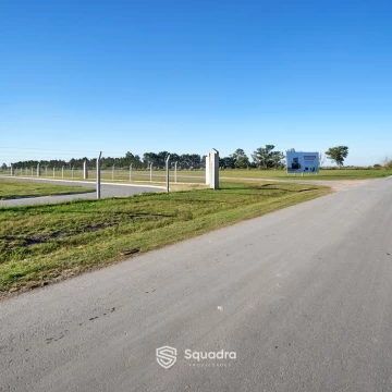 1778181165.jpg