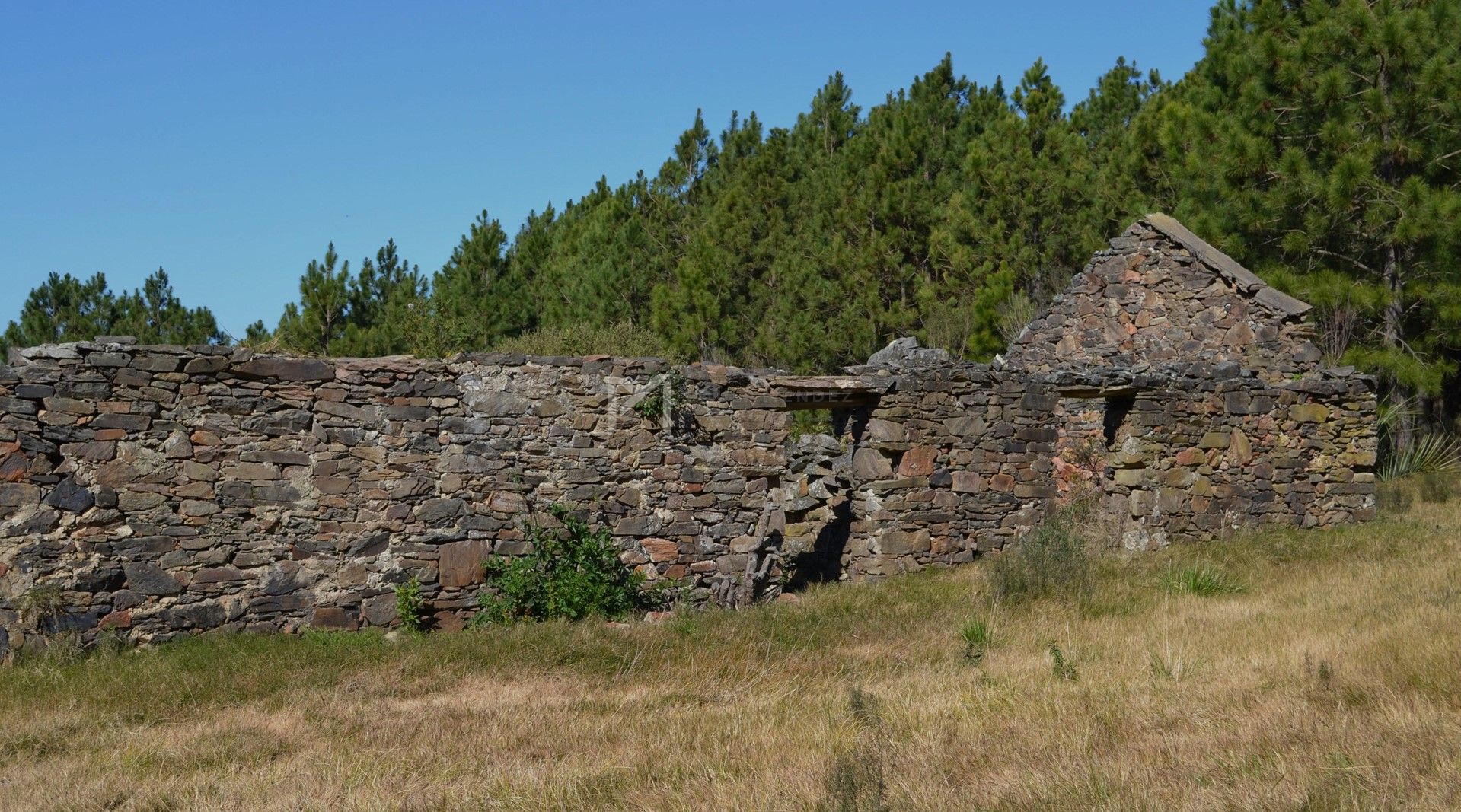 image 62