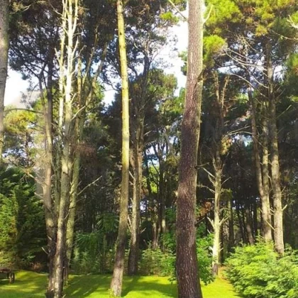 Terreno Venta en Las Amapolas 700, Costa del Este 700