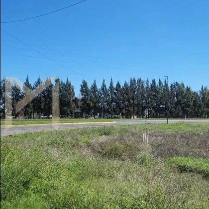 Terreno Venta en S.I.P El Enlace 1000