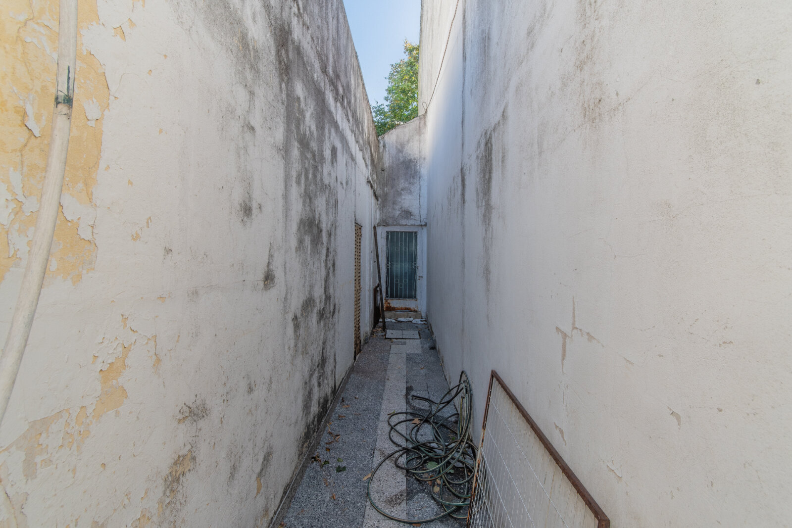 image 28