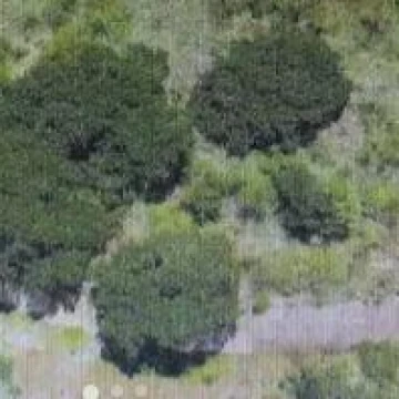 TERRENO EN VENTA EN BOSQUE REAL