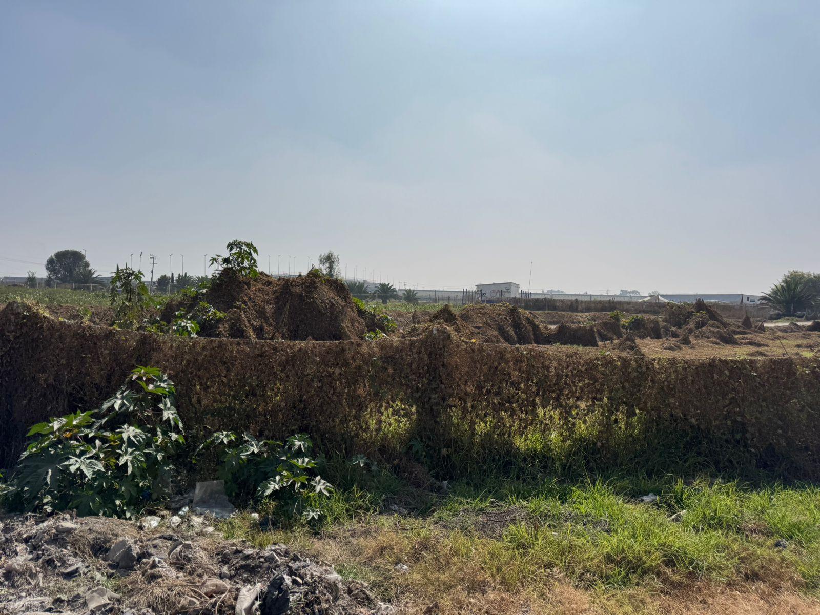 image 14