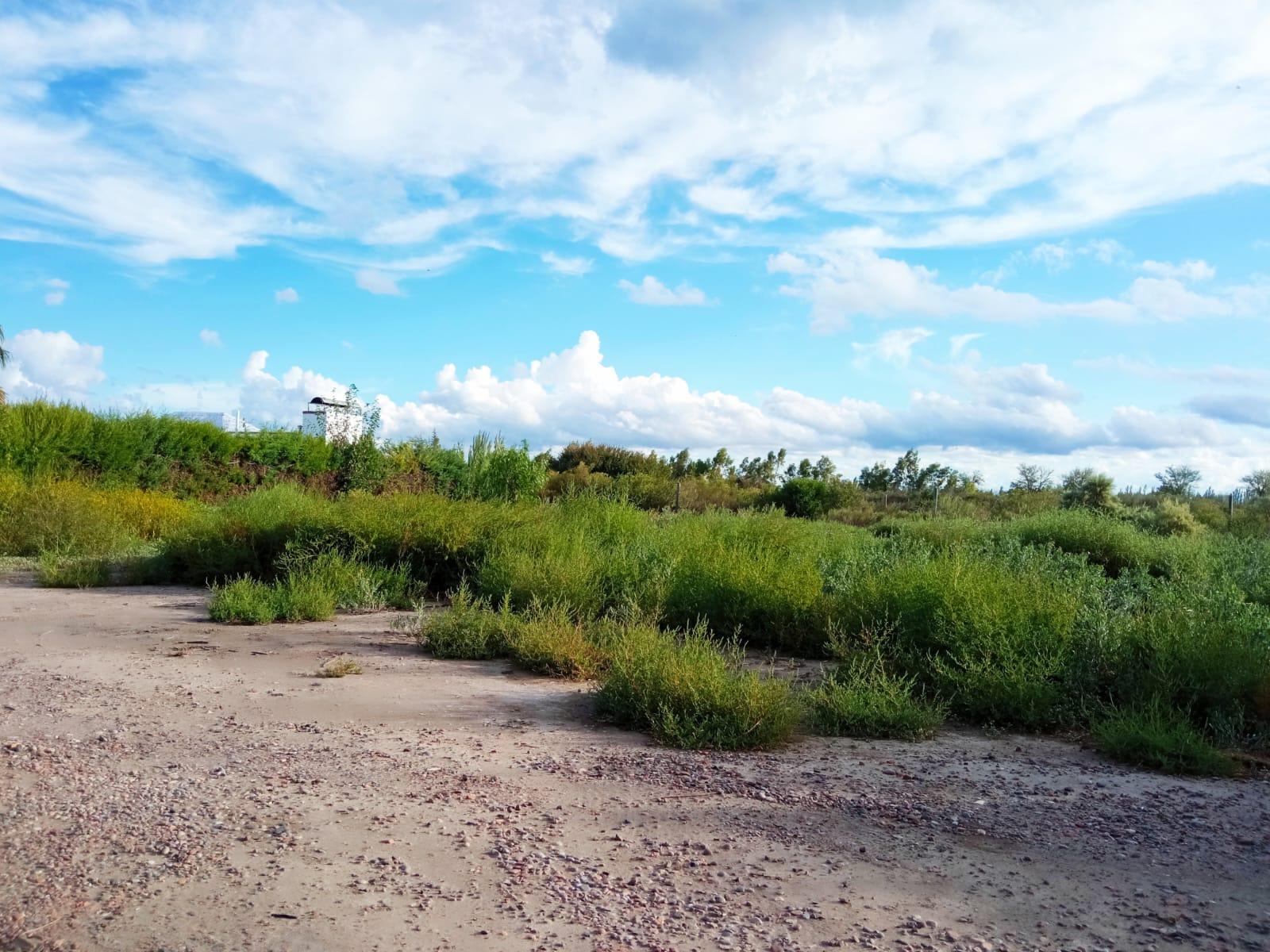 TERRENO EN VENTA JUNIN,CON SALIDA A CARRIL SANTOS LUGARES CON TOUR VIRTUAL - 4