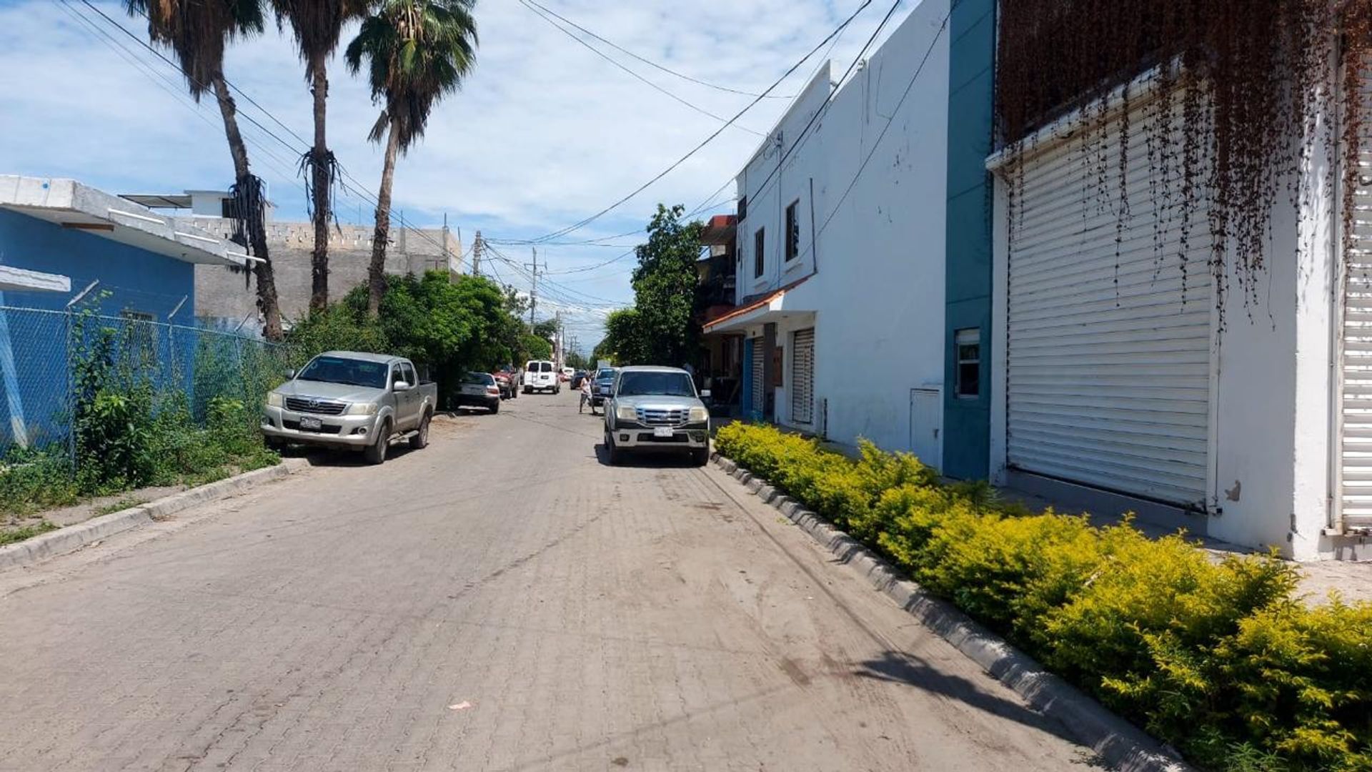 Copia de WhatsApp Image 2024-10-09 at 16.35.19 (3).jpeg