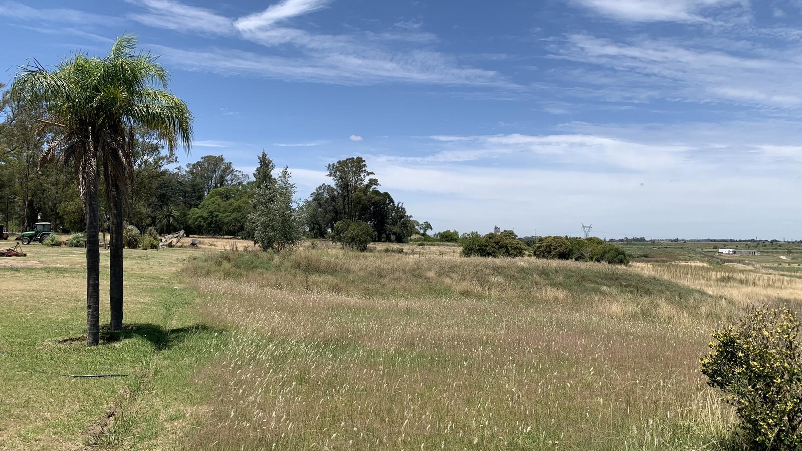 image 36