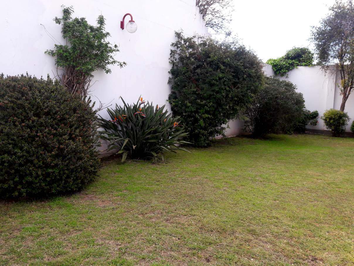 image 29
