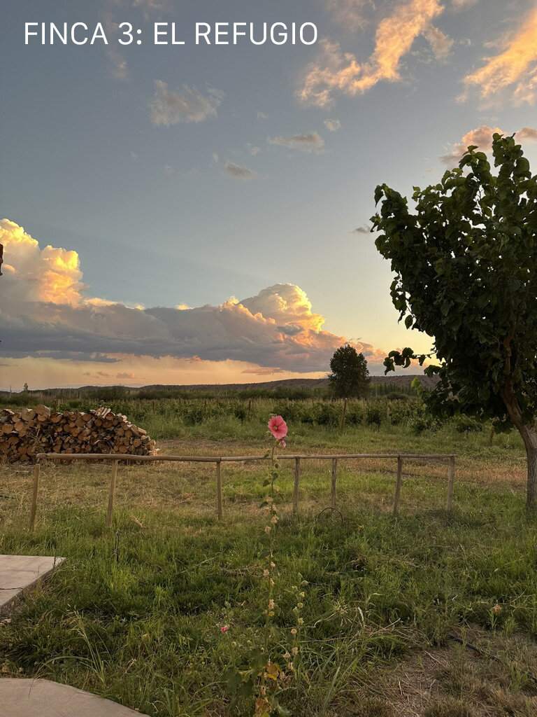 image 35