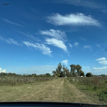 campo