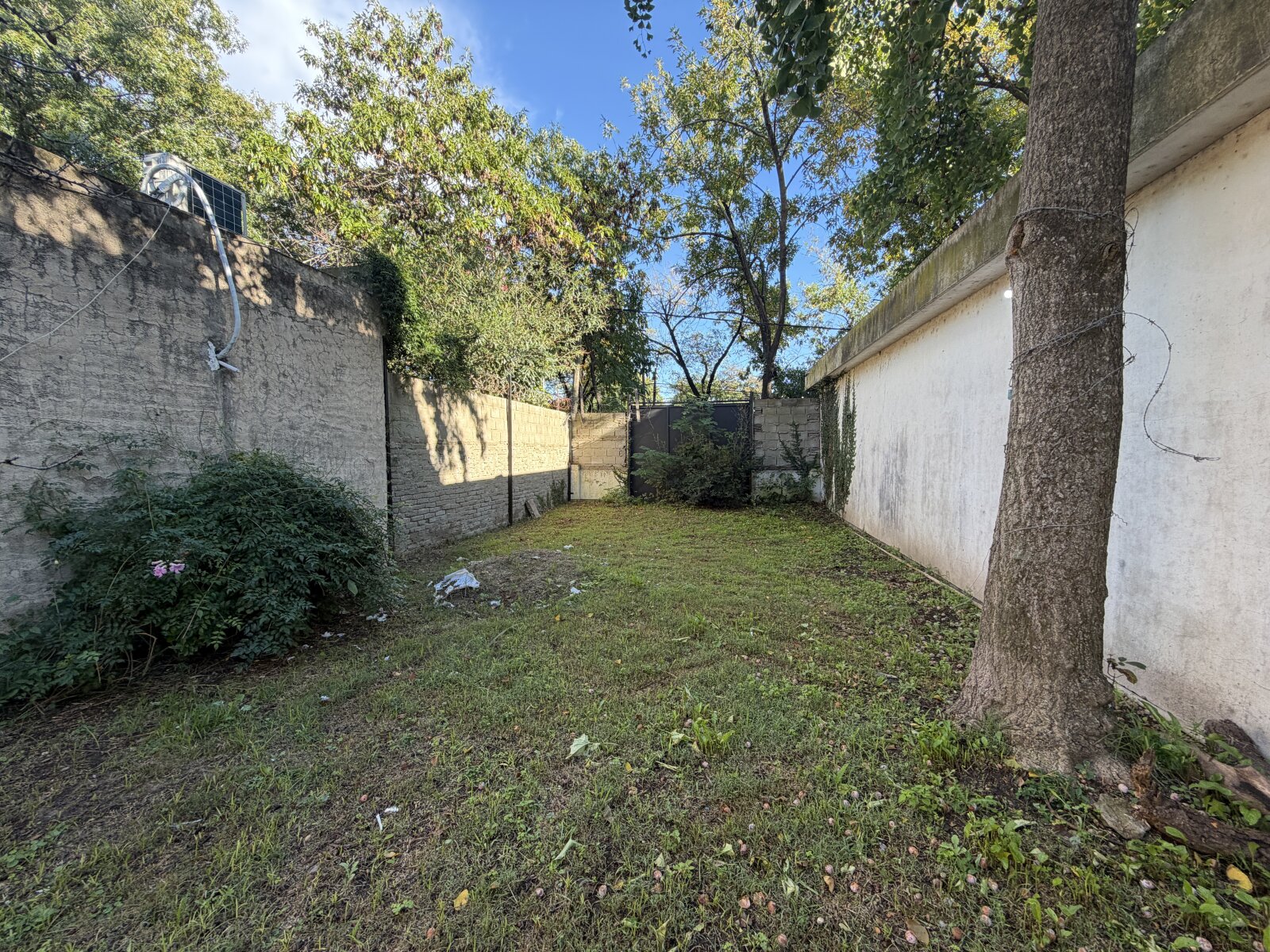 image 14