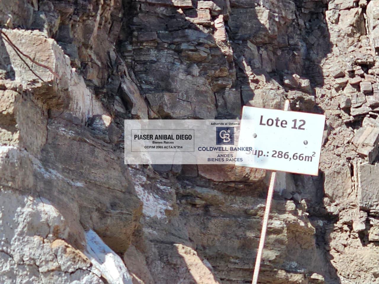 image 14