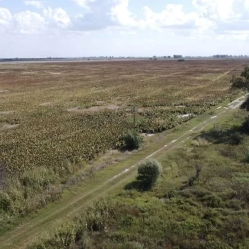 Campo en venta en Arrufó, sobre Ruta 39.