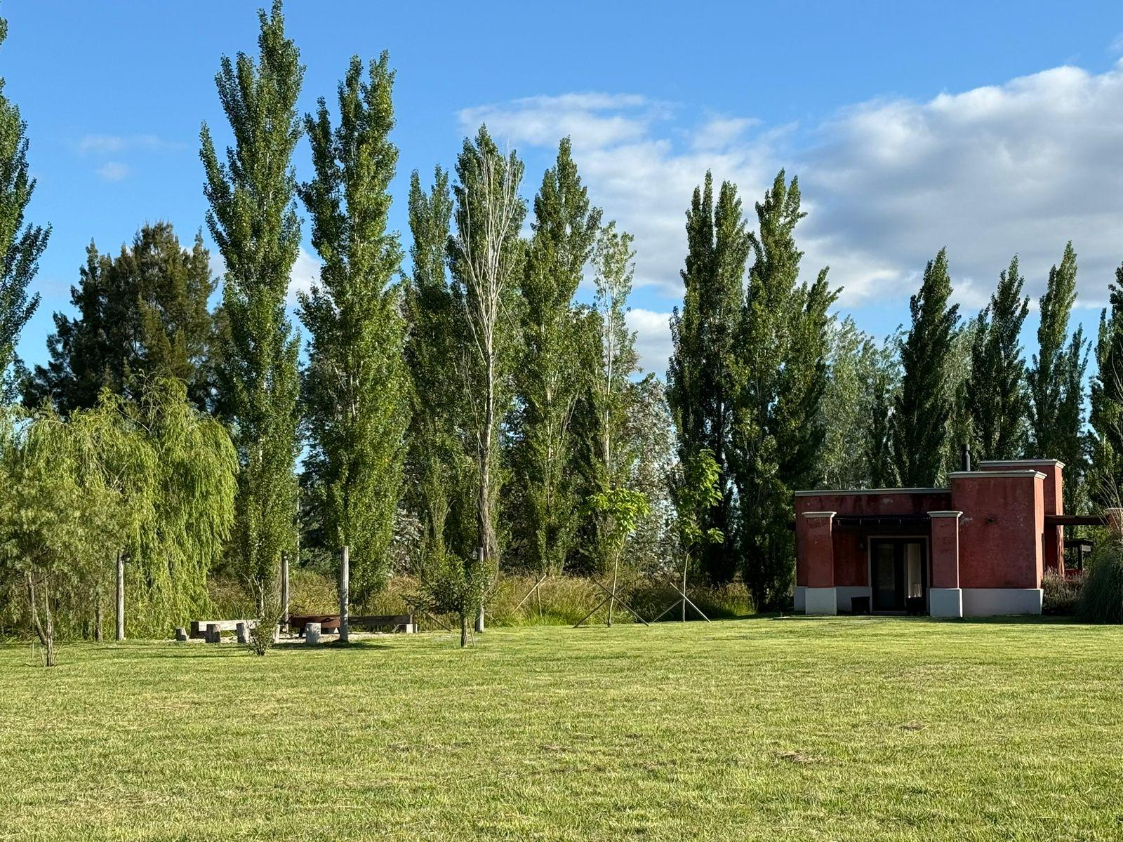 image 28