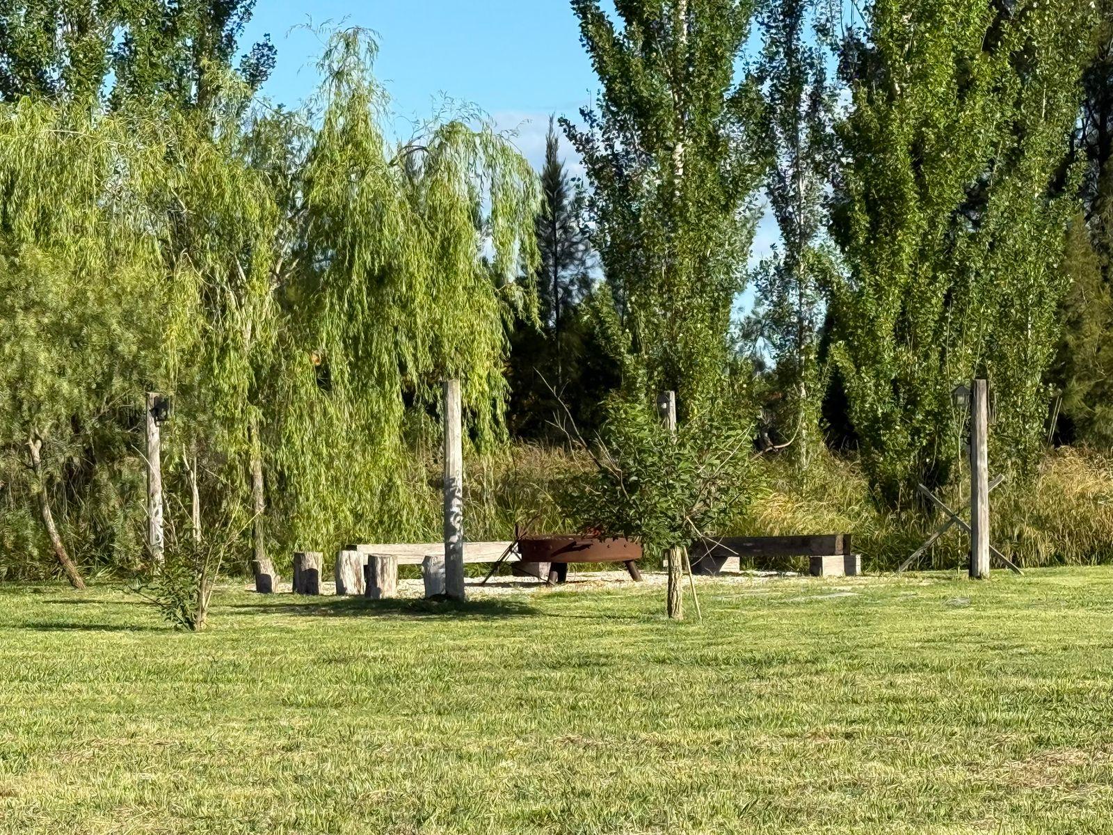image 29