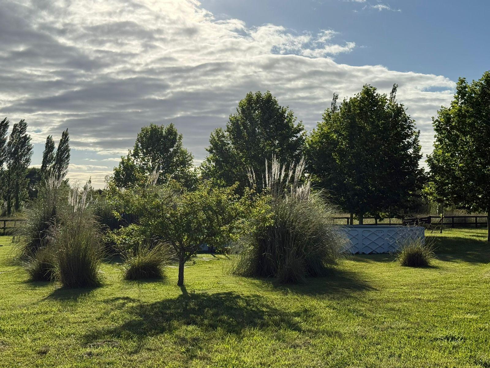 image 30