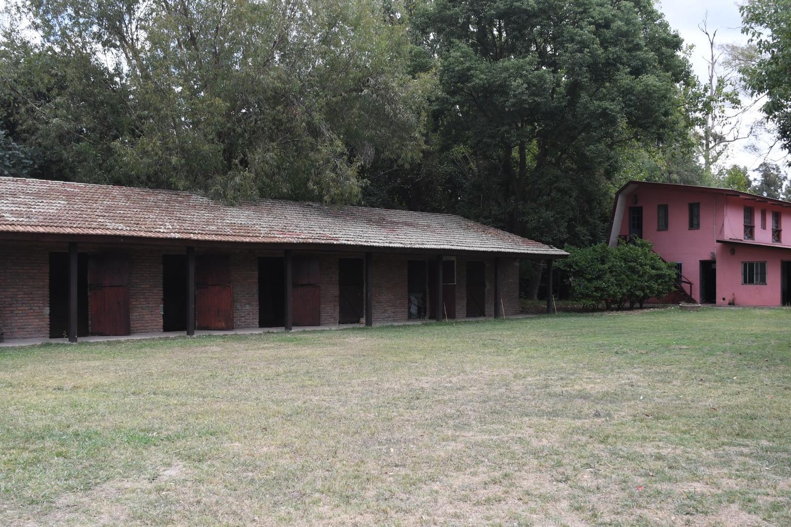 image 13
