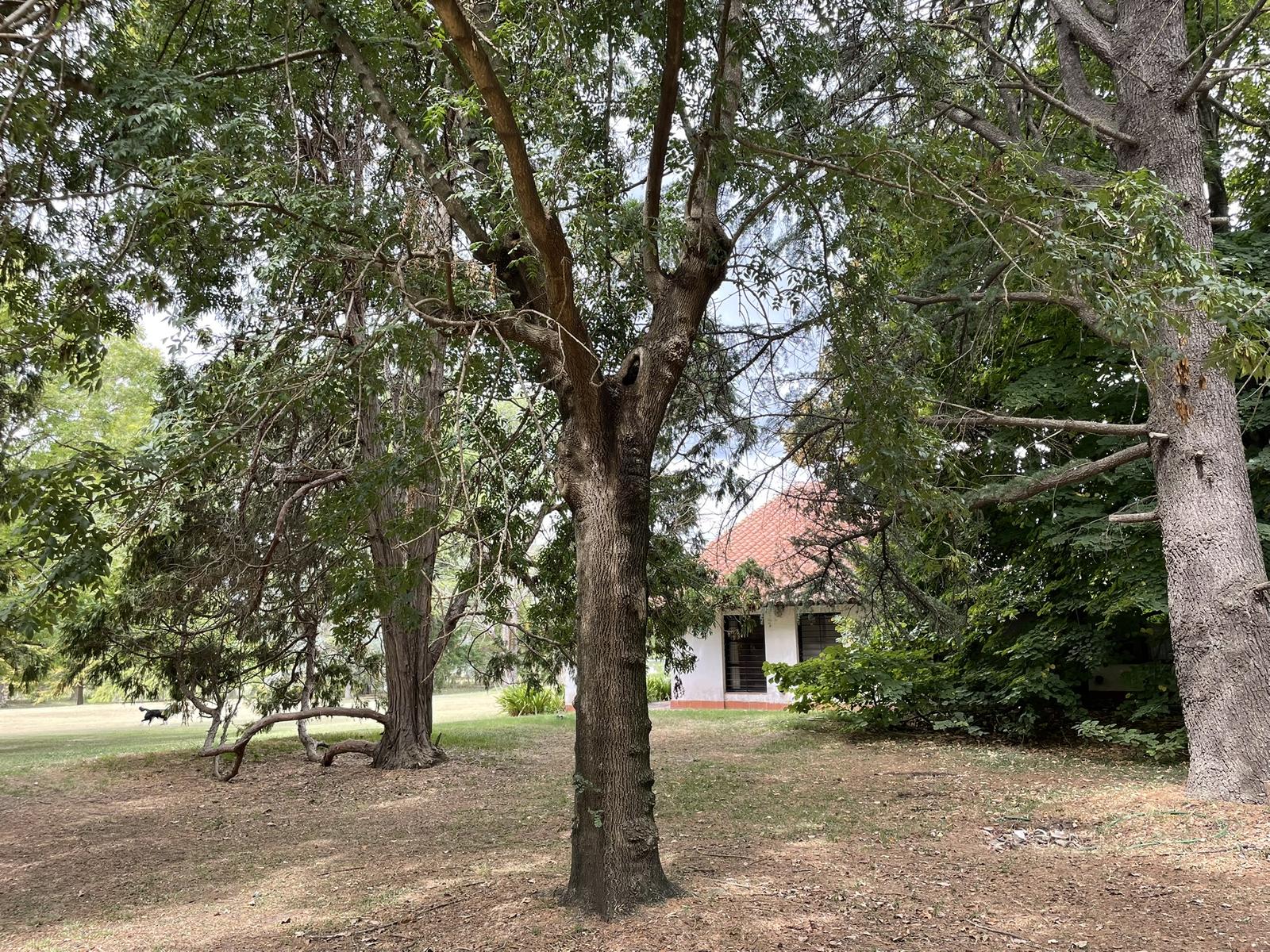 image 18