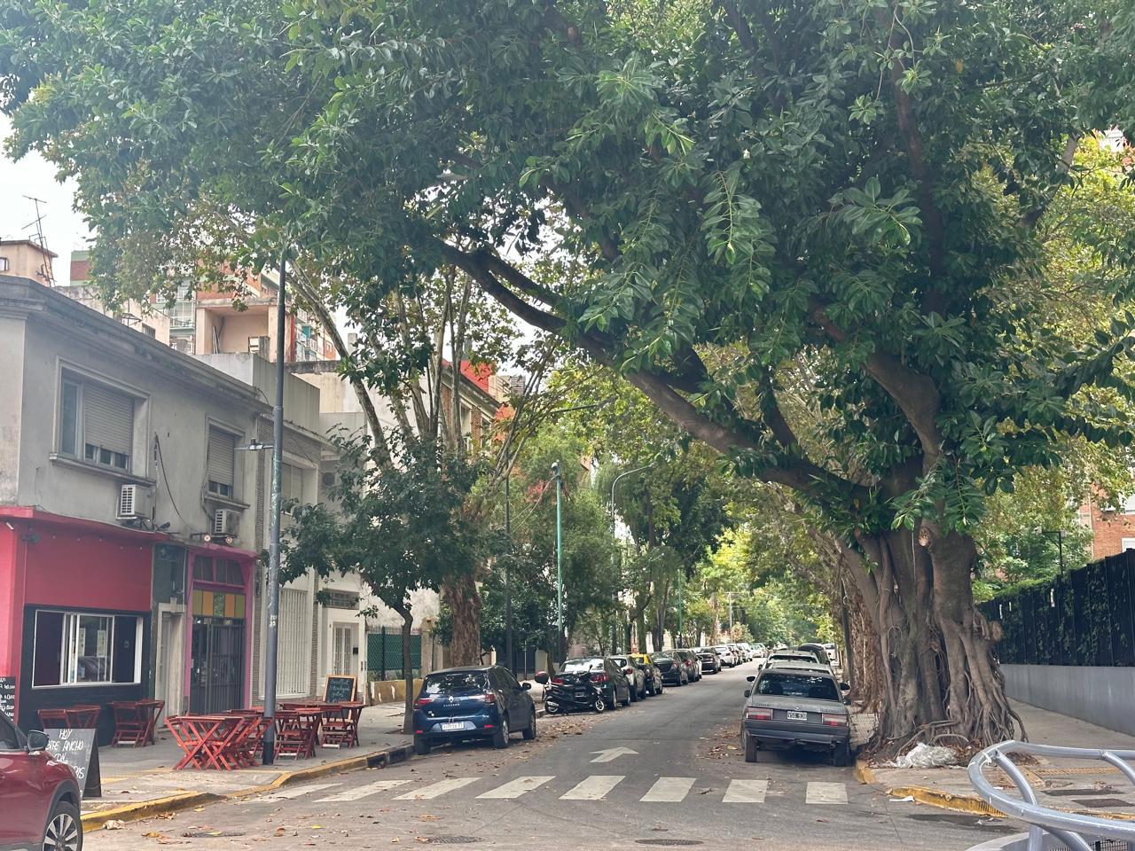 image 19