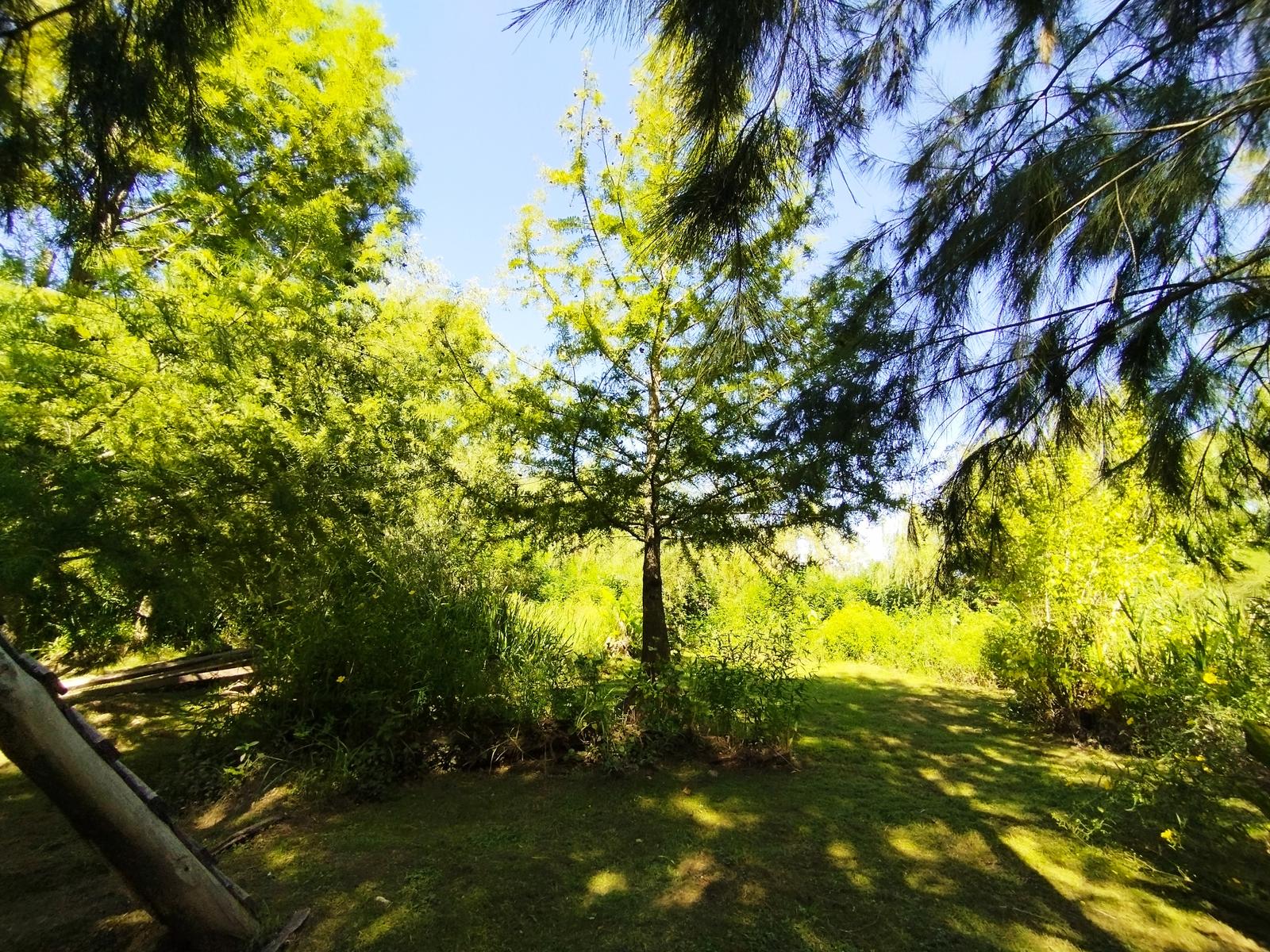 image 54