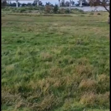 Terreno en Venta Frente a Outlets Lerma | 8,301 m²