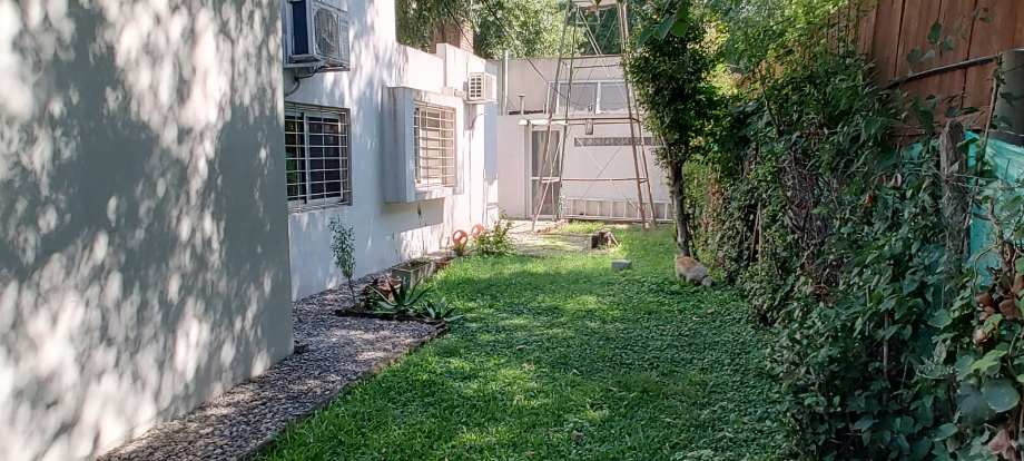 image 23