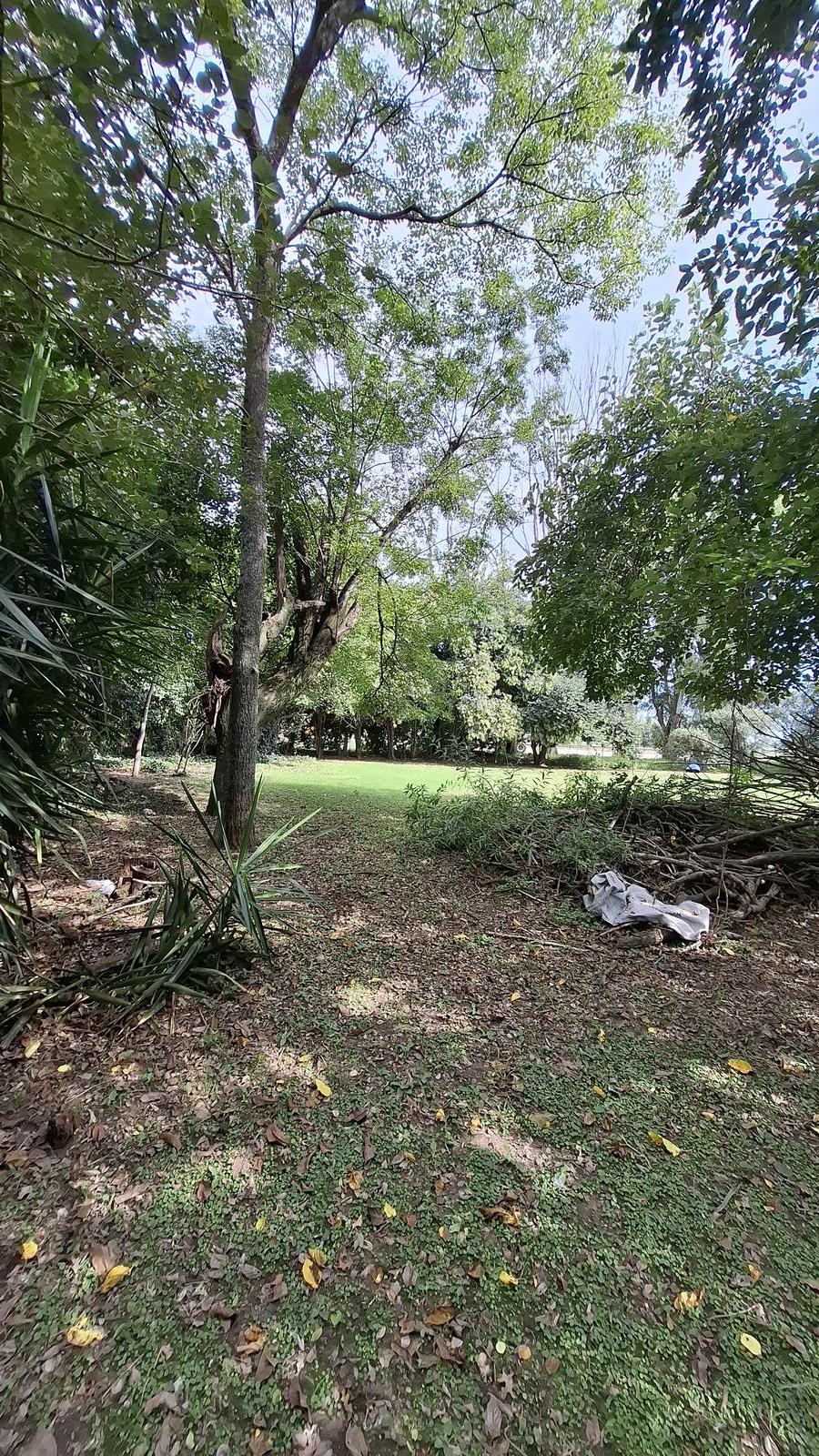 image 13