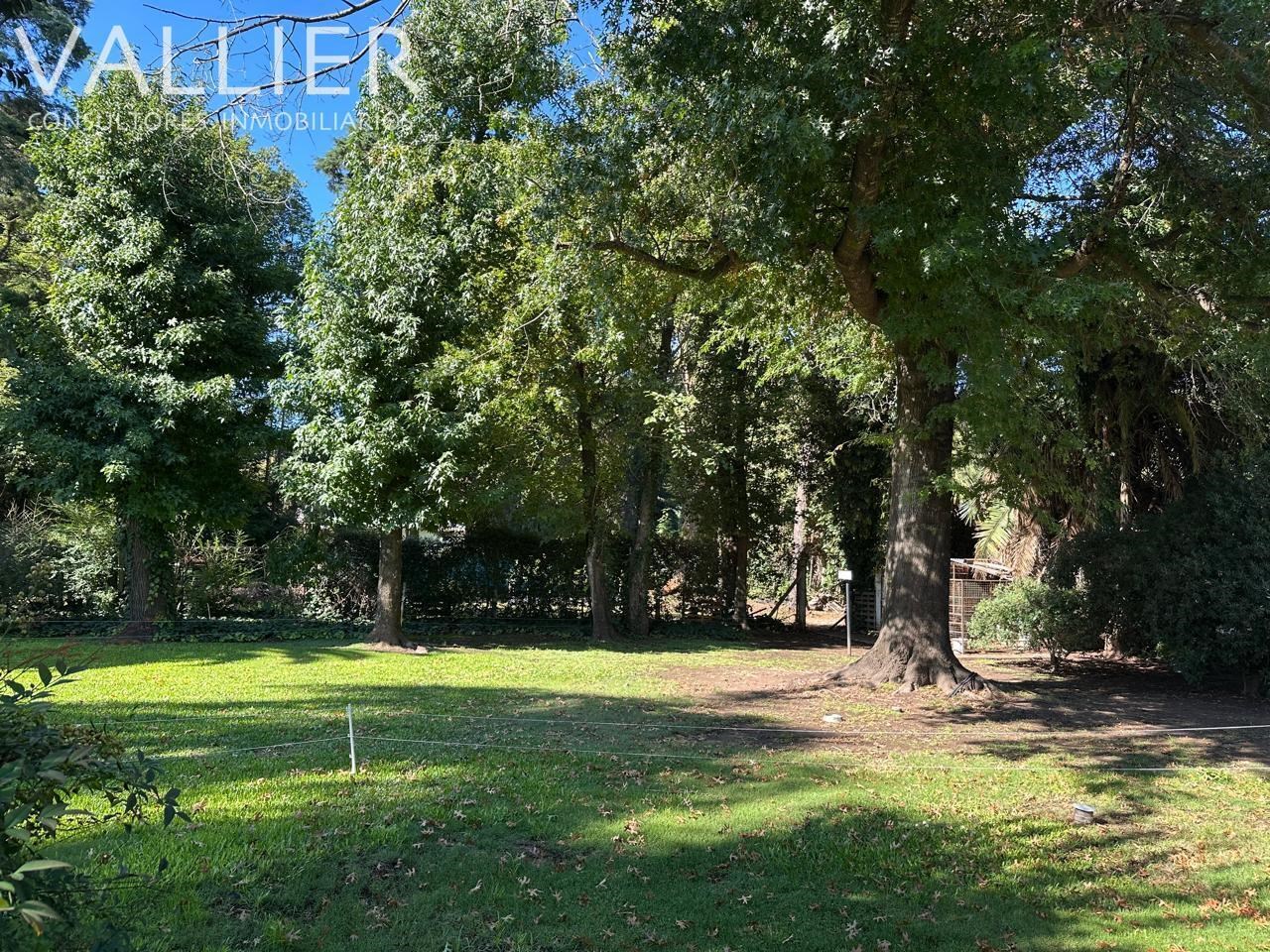 image 34