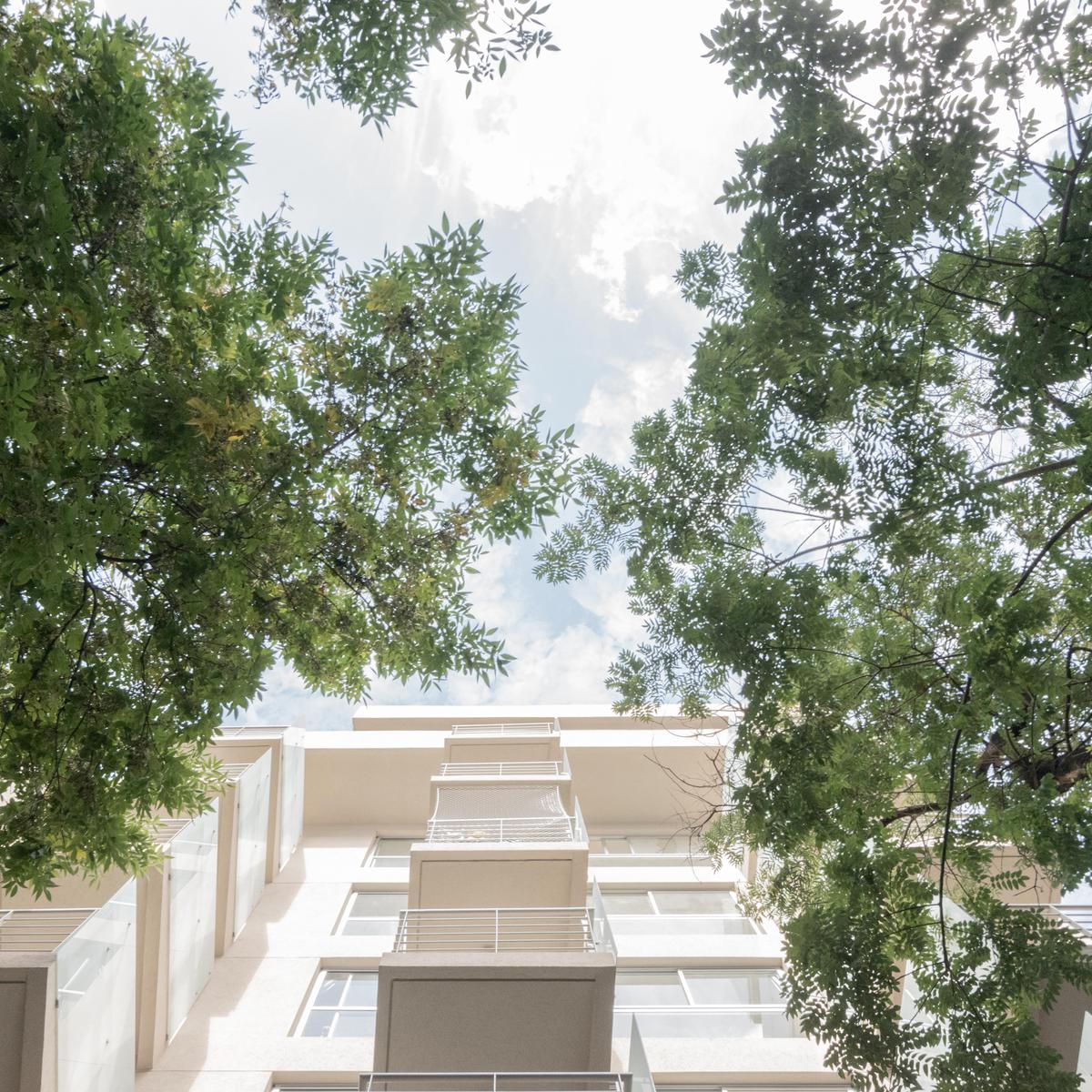 image 27