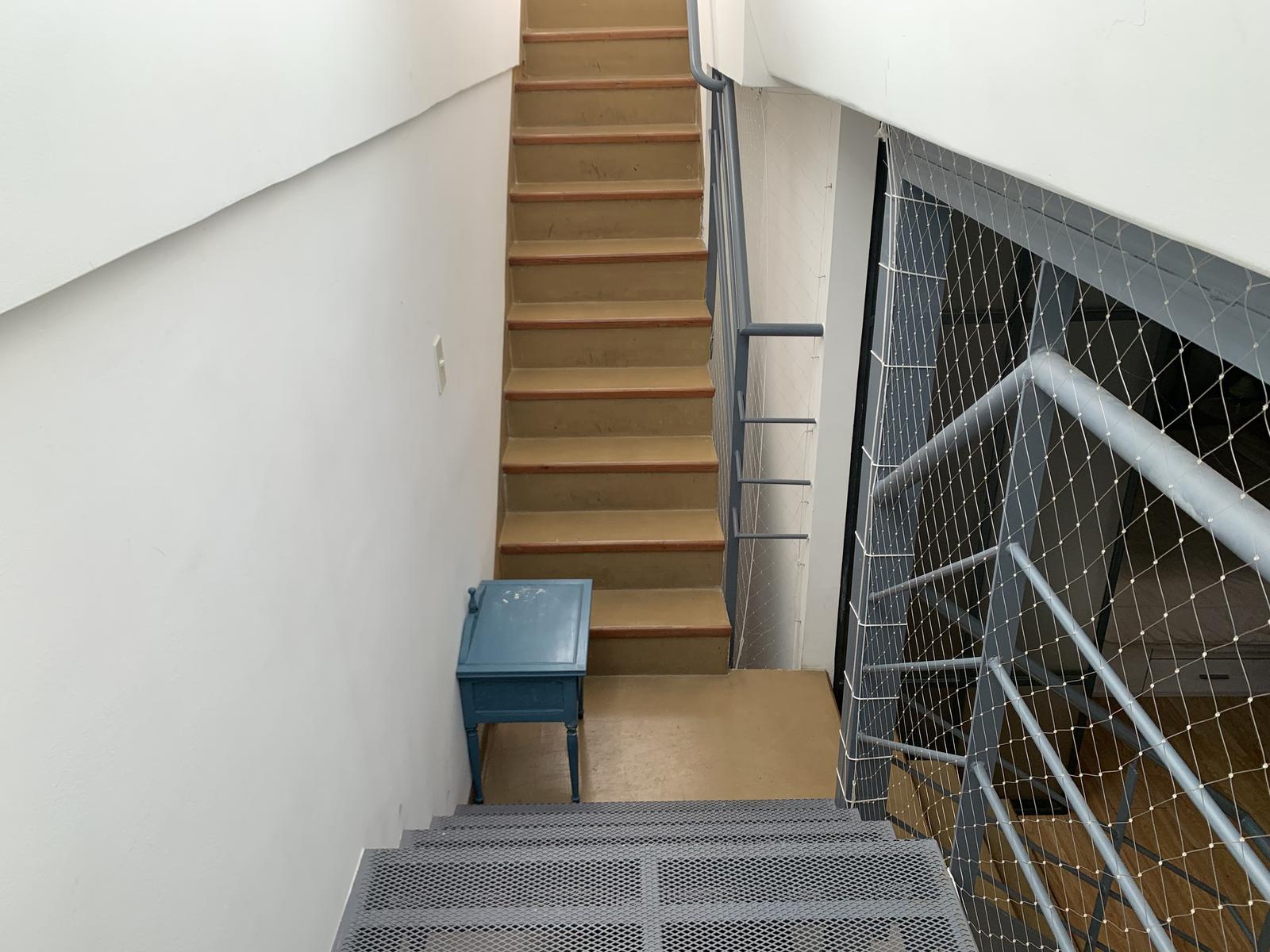 image 28