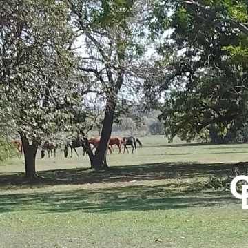 Campo en Matices Club De Campo