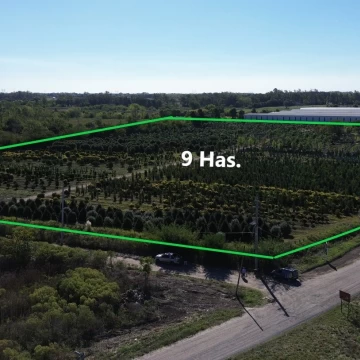 Terreno Venta en 9 Has Colectora panamericana km