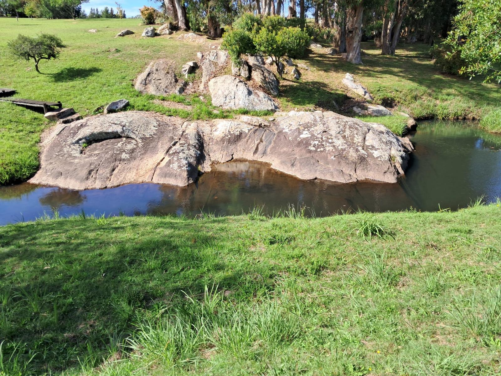 image 23