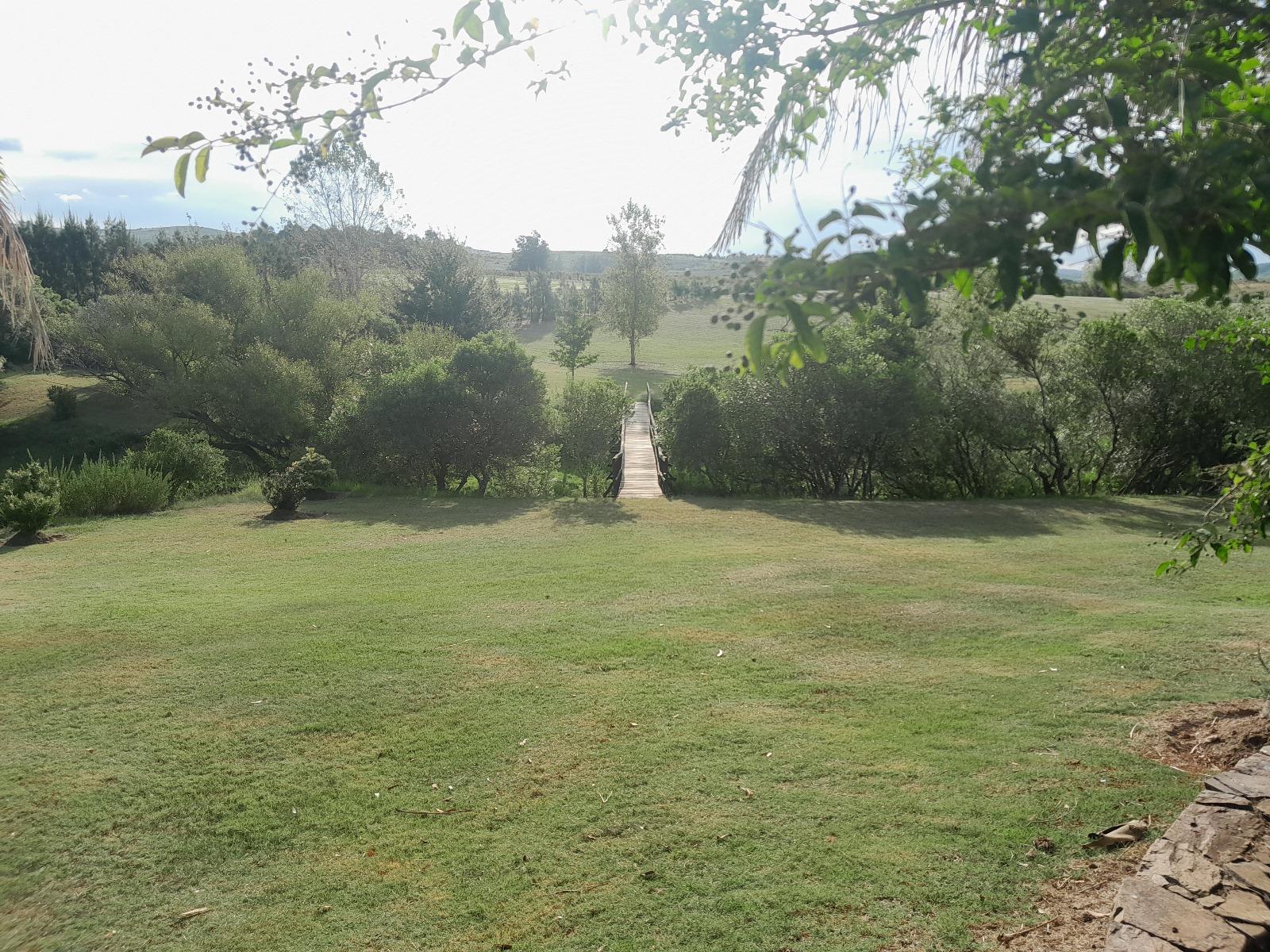 image 33