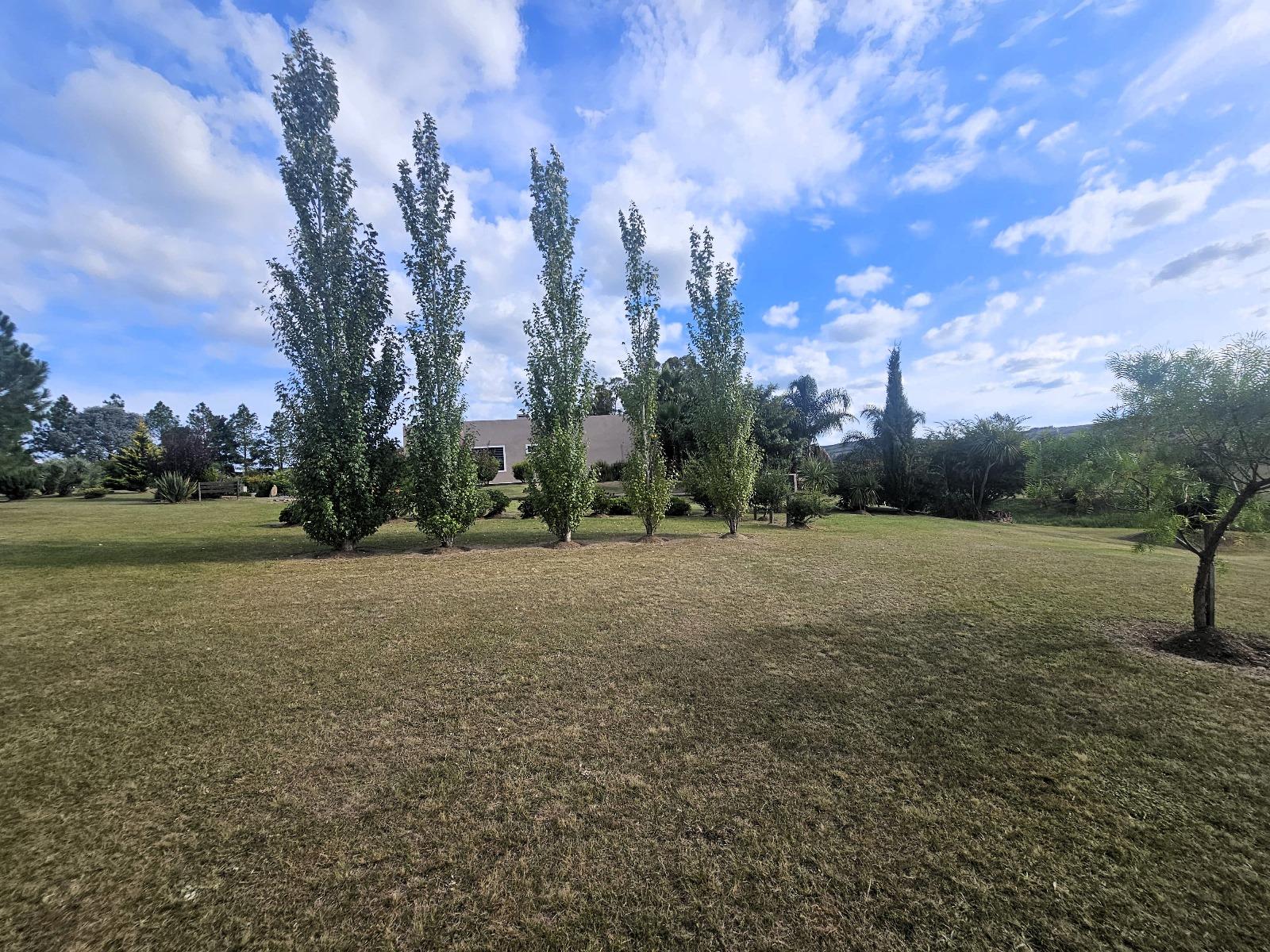 image 59