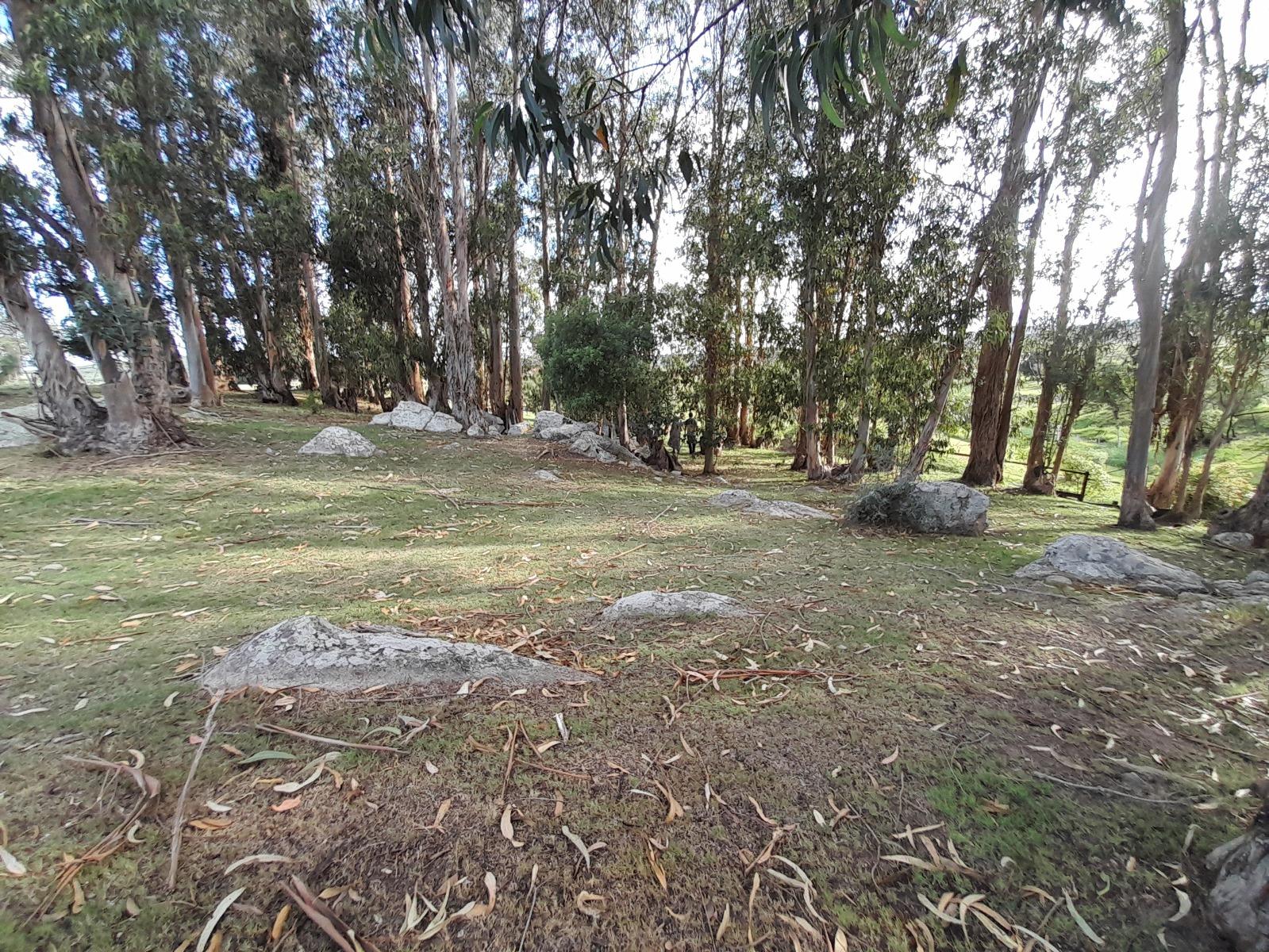 image 60