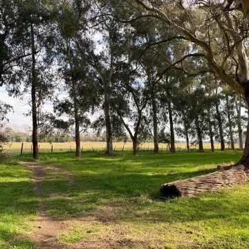 Terreno Venta en Lote venta 1000 m2, El Cardal III, Barrio cerrado , Cardales