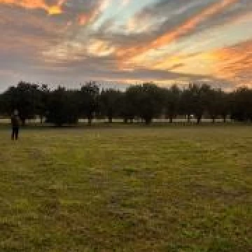 Terreno Venta en Ruta Provincial 305 300